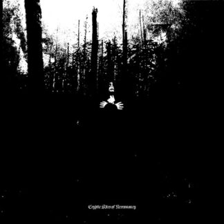 Pa Vesh En - Cryptic Rites Of Necromancy 7" (Silver)