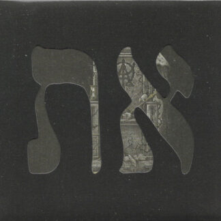 Mānbryne - Interregnum: O Próbie Wiary I Jarzmie Zwątpienia Digipak CD