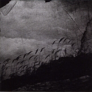 Всполох/Вихрь - Amongst Mossy Stones... = У Камней Замшелых... CD