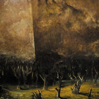 Tenebrae In Perpetuum - Vacuum Coeli CD