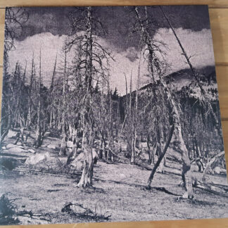Hate Forest - Sorrow LP (Marble)