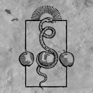 Darvaza - We Are Him LP