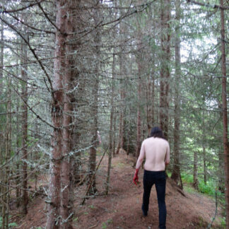 Gjendød - Nedstigning CD