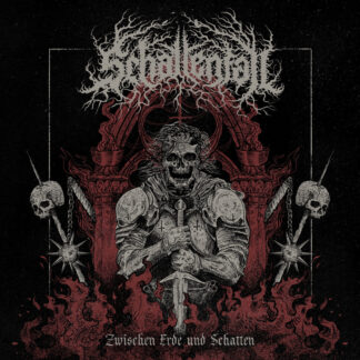 Schattenfall – Zwischen Erde und Schatten CD